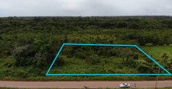 Perceel omgeving Waterland