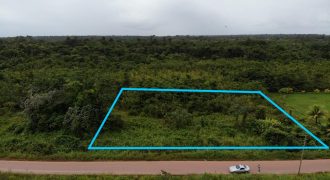 Perceel omgeving Waterland