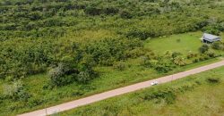 Perceel omgeving Waterland