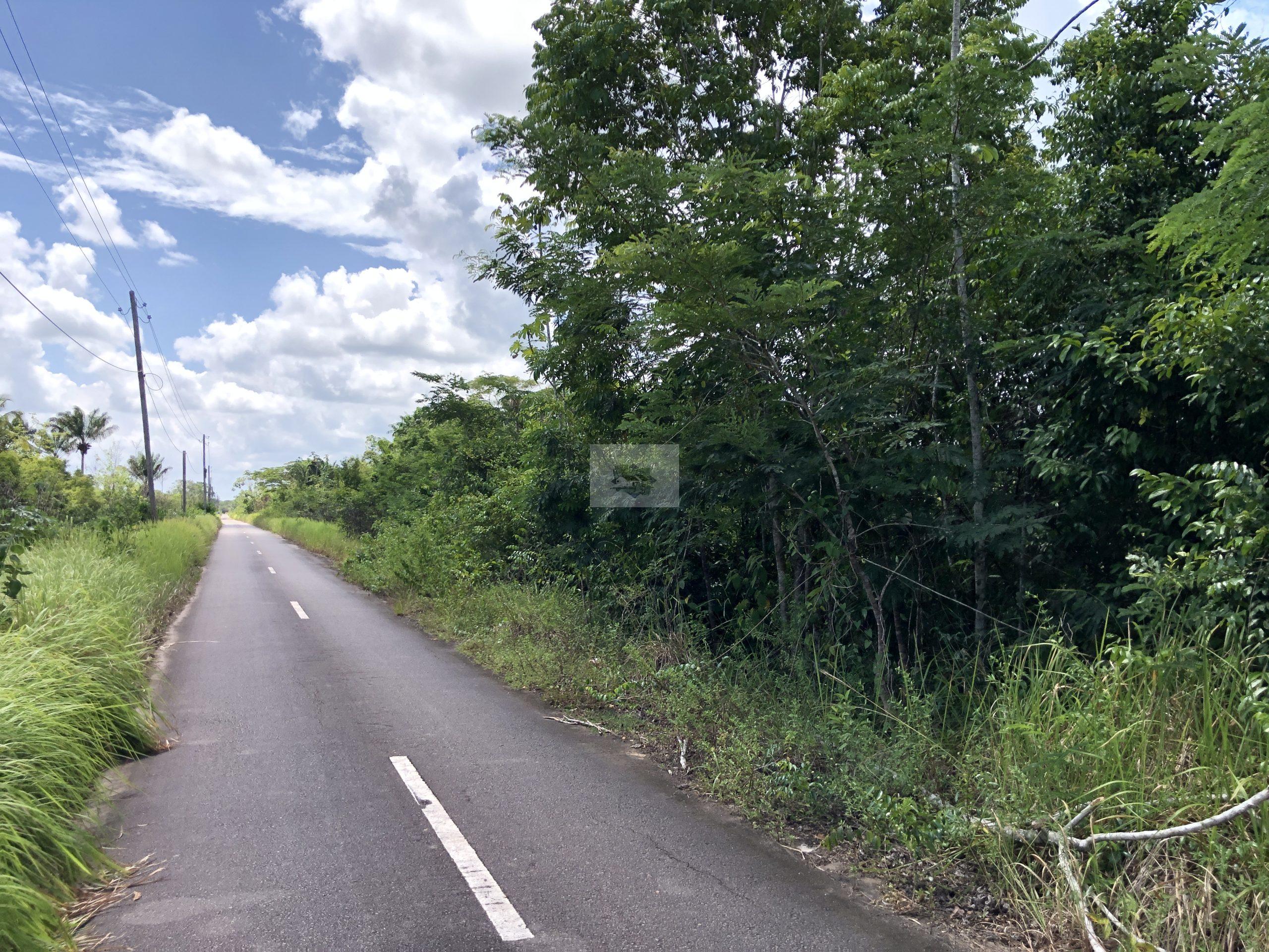 Perceel omgeving Rijsdijk te koop